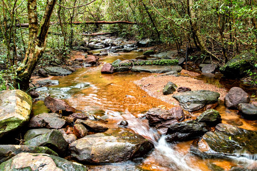 อุทยานแห่งชาติภูพาน